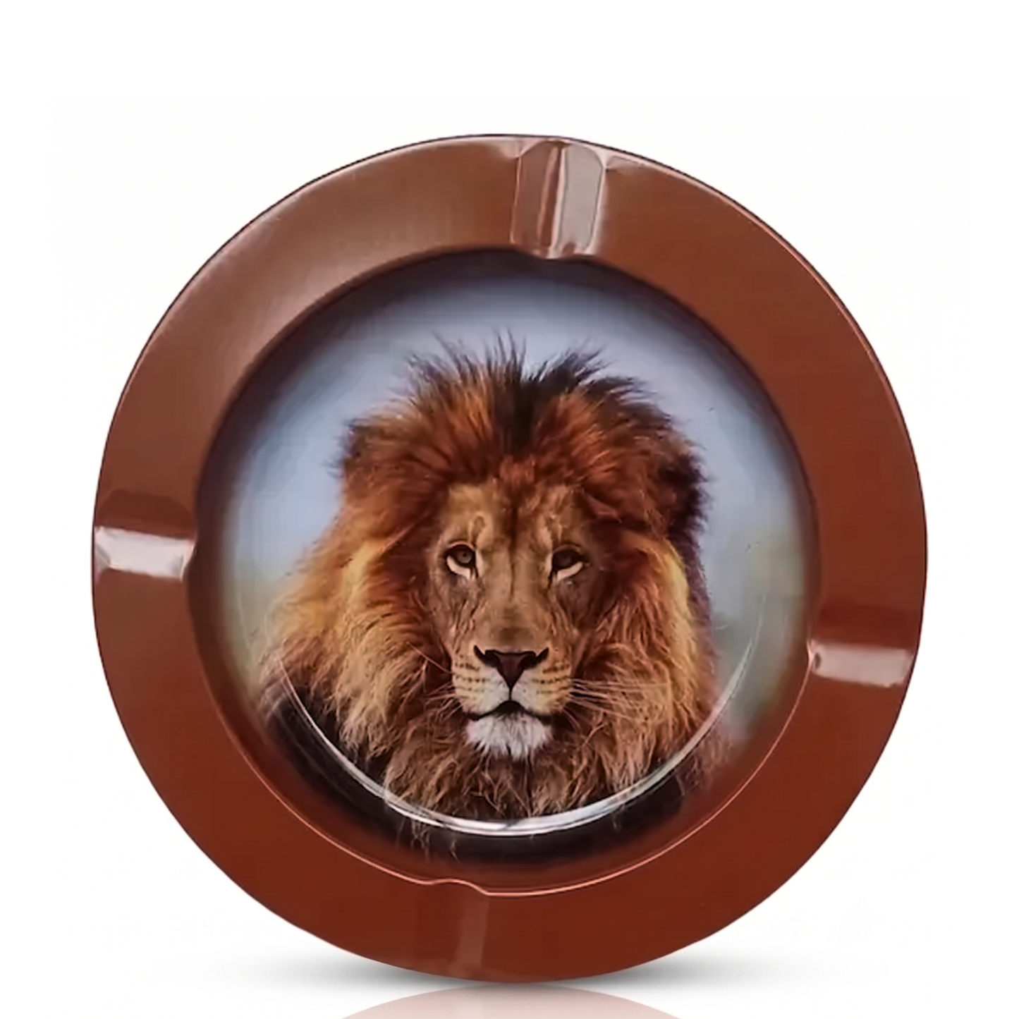 Rollo Stainless Steel Round Ashtrays | PACK of 2